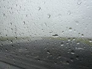 Two Rainy Weeks in Orkney: Standing Stones, Native Beasts, and the Churchill Barriers