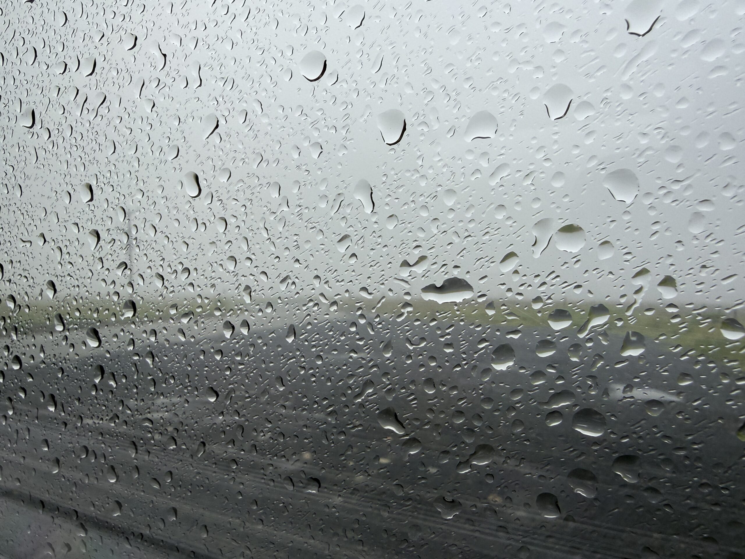 Two Rainy Weeks in Orkney: Standing Stones, Native Beasts, and the Churchill Barriers