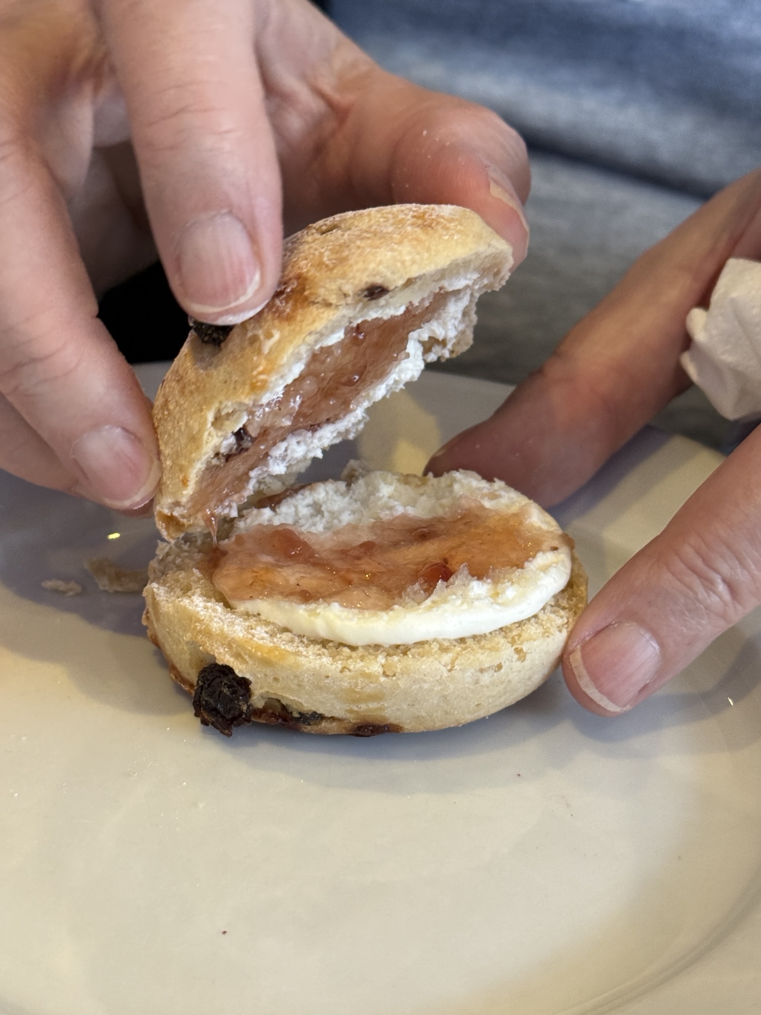 Scones with jam and clotted cream on a plate.